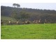 Lot 10 Colemans Road, Gosse SA 5223
