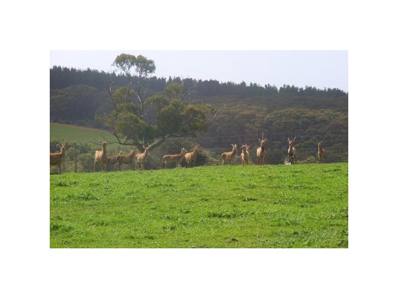 Lot 10 Colemans Road, Gosse SA 5223
