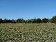LOT 1 PLAYFORD HIGHWAY, Kingscote SA 5223