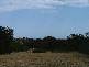 Lot 160 Beach Crescent, Baudin Beach SA 5222