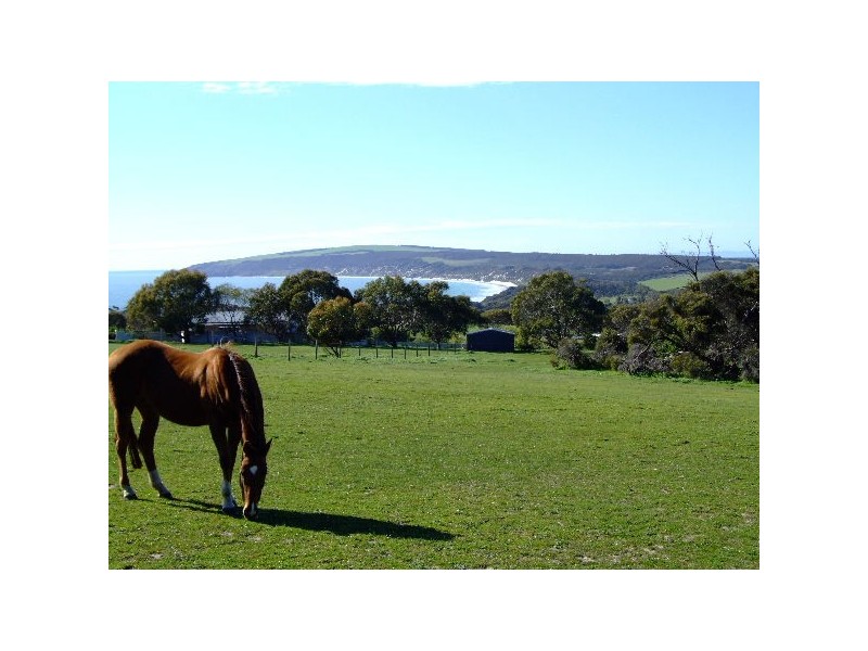 Section 226 Off Gap Road, Emu Bay SA 5223