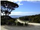 Lot 19 Glen Barrett Drive Dover Farm, Bay Of Shoals SA 5223
