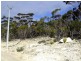 Lot 19 Glen Barrett Drive Dover Farm, Bay Of Shoals SA 5223