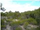 Lot 19 Glen Barrett Drive Dover Farm, Bay Of Shoals SA 5223