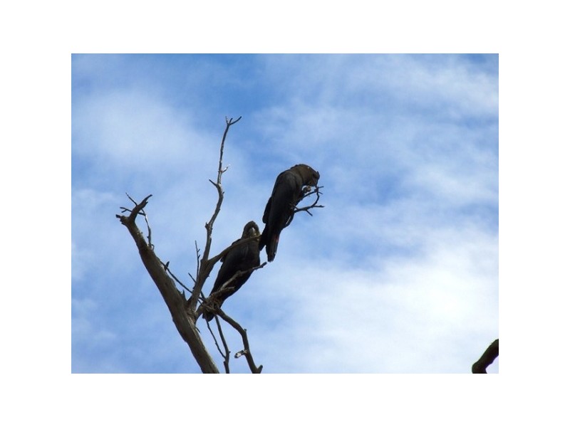 Lot 11 Bayview Road, American River SA 5221