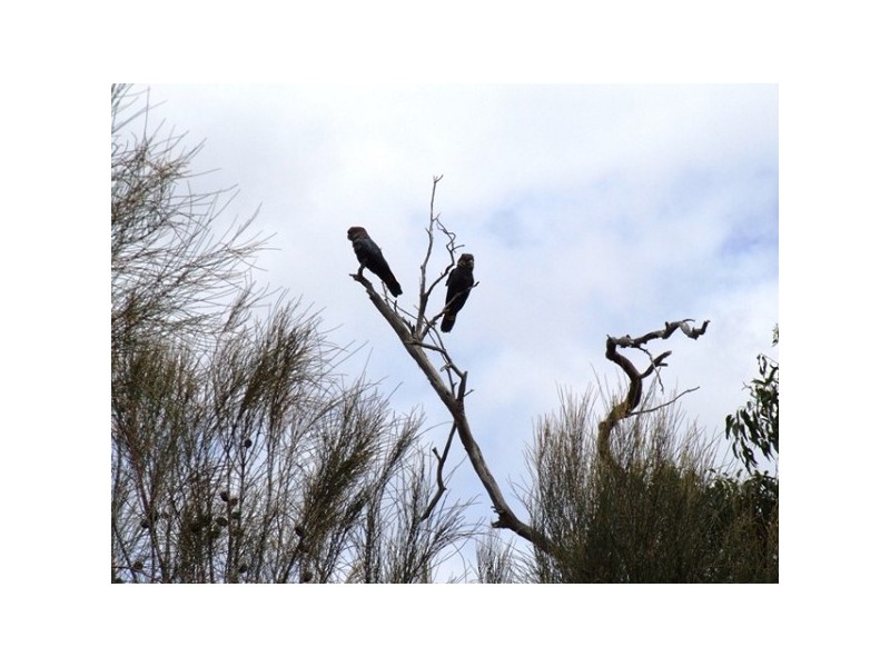 Lot 11 Bayview Road, American River SA 5221