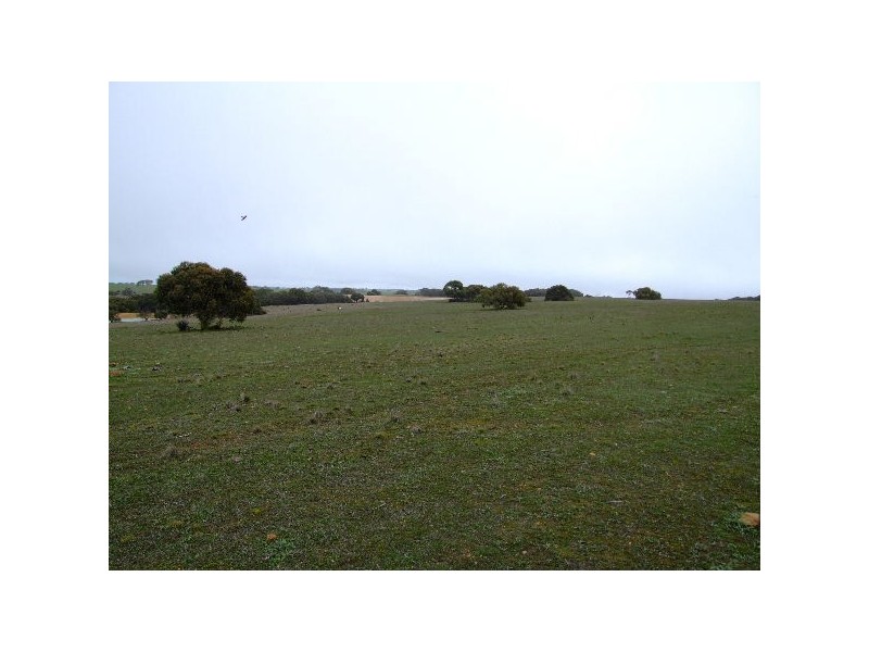 Lot 2 North Coast Road, Cassini SA 5223