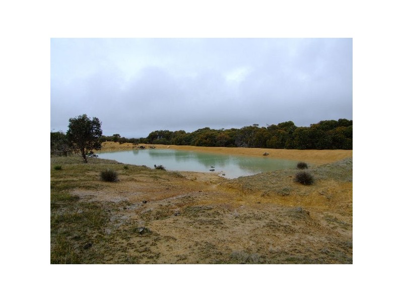 Lot 2 North Coast Road, Cassini SA 5223