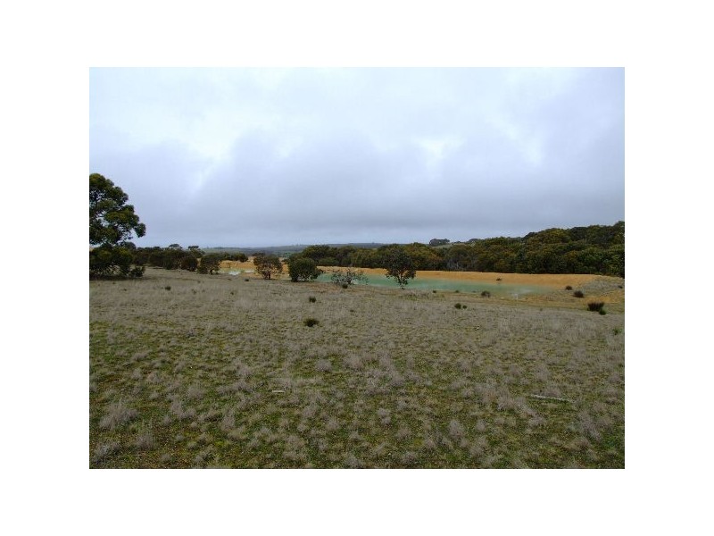 Lot 2 North Coast Road, Cassini SA 5223