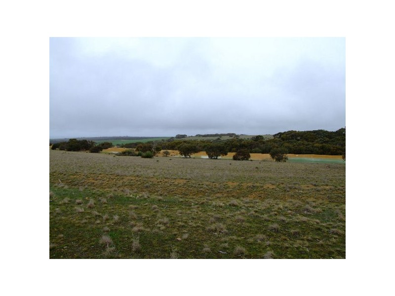 Lot 2 North Coast Road, Cassini SA 5223