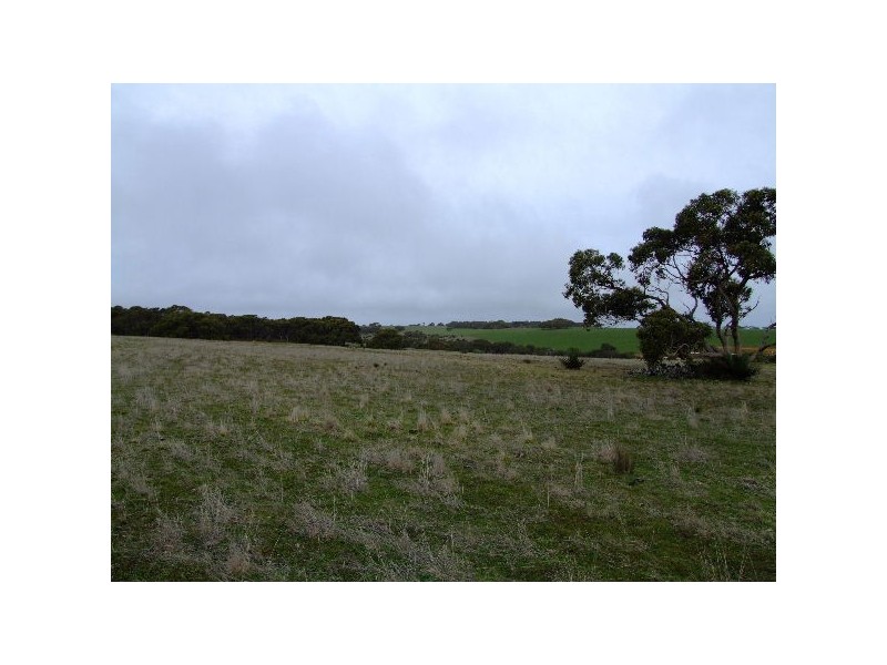 Lot 2 North Coast Road, Cassini SA 5223