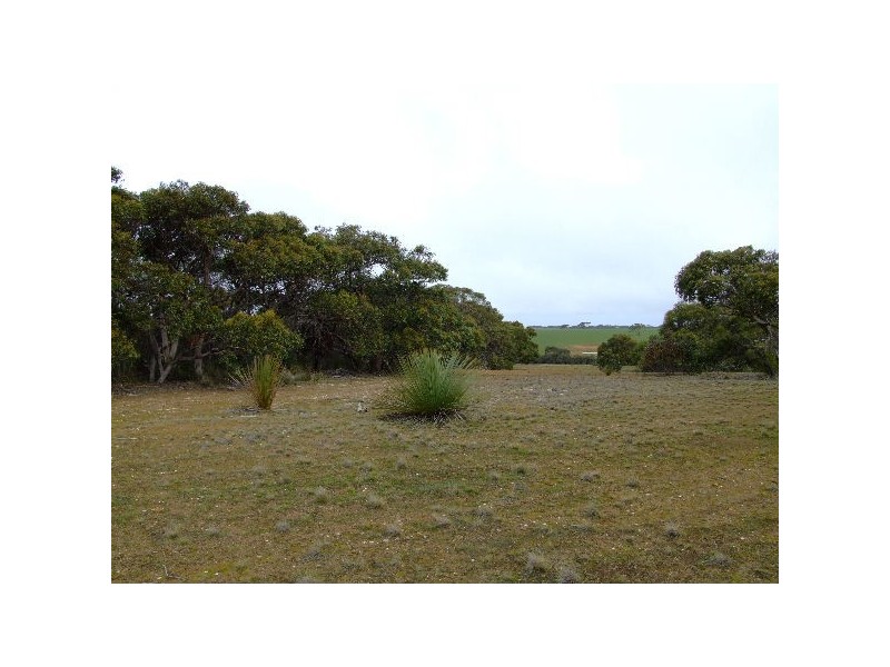 Lot 2 North Coast Road, Cassini SA 5223