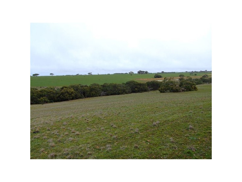 Lot 2 North Coast Road, Cassini SA 5223