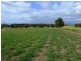 Lot 60 Freycinet Way, Penneshaw SA 5222