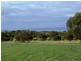 Lot 60 Freycinet Way, Penneshaw SA 5222