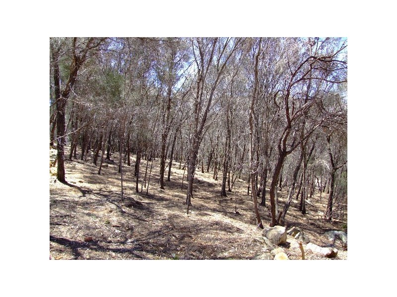 Lot 19 Nelcebe  Court, American River SA 5221