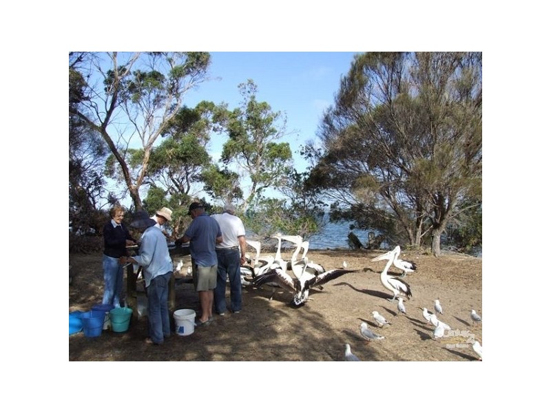 Lot 19 Nelcebe  Court, American River SA 5221