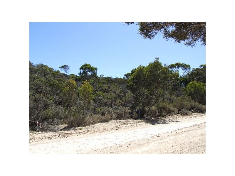 Lot 195 Island Beach Road, Island Beach SA 5222