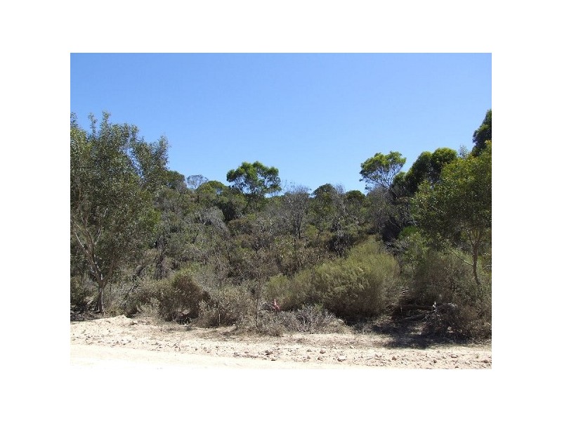 Lot 195 Island Beach Road, Island Beach SA 5222