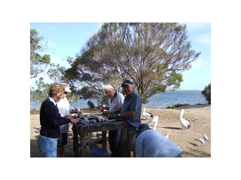 201 FALIE COURT, American River SA 5221