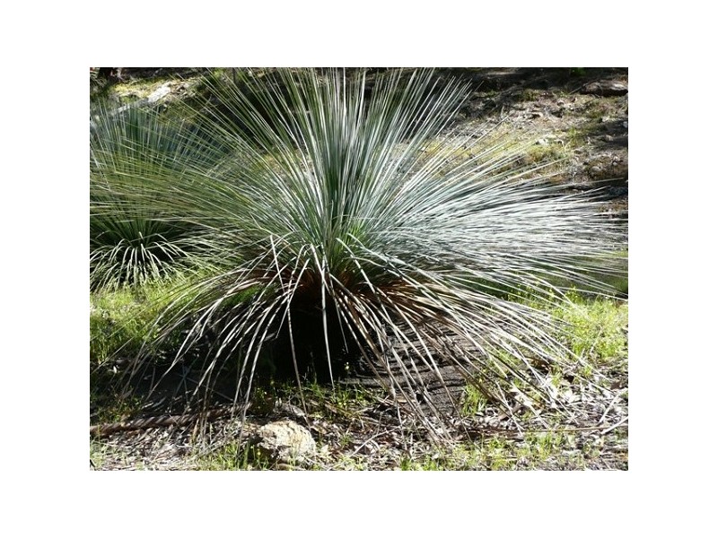 201 FALIE COURT, American River SA 5221