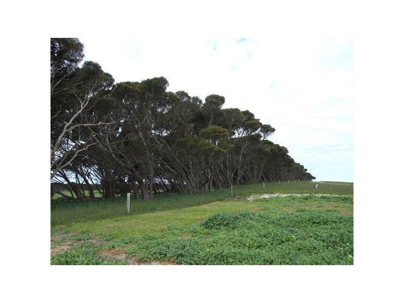 Lot 880 Corner Birchmore Road and Bomb Alley Road, Kingscote SA 5223