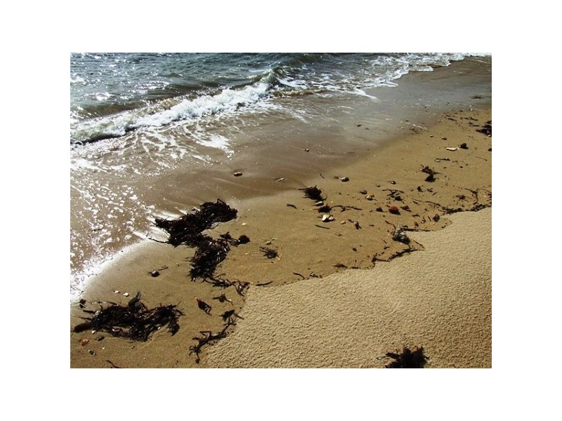 Baudin Beach SA 5222