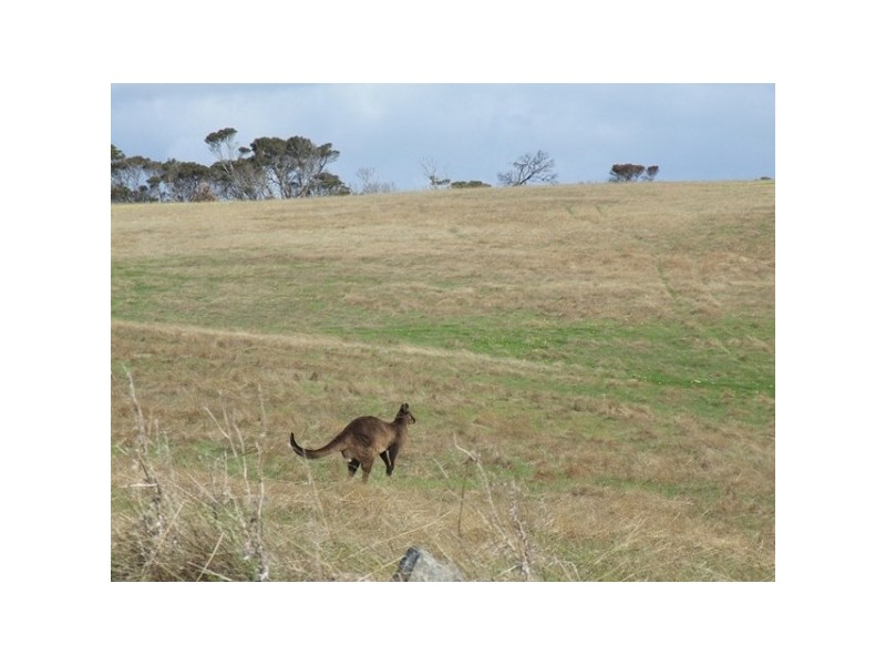 Lots 22 – 24 North Coast Road, Emu Bay SA 5223