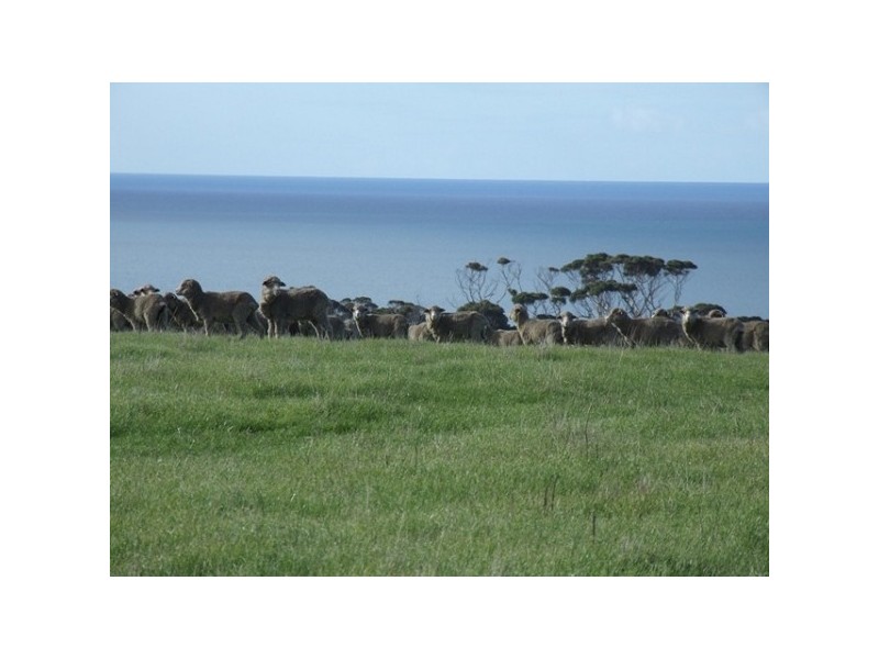 Lots 22 – 24 North Coast Road, Emu Bay SA 5223