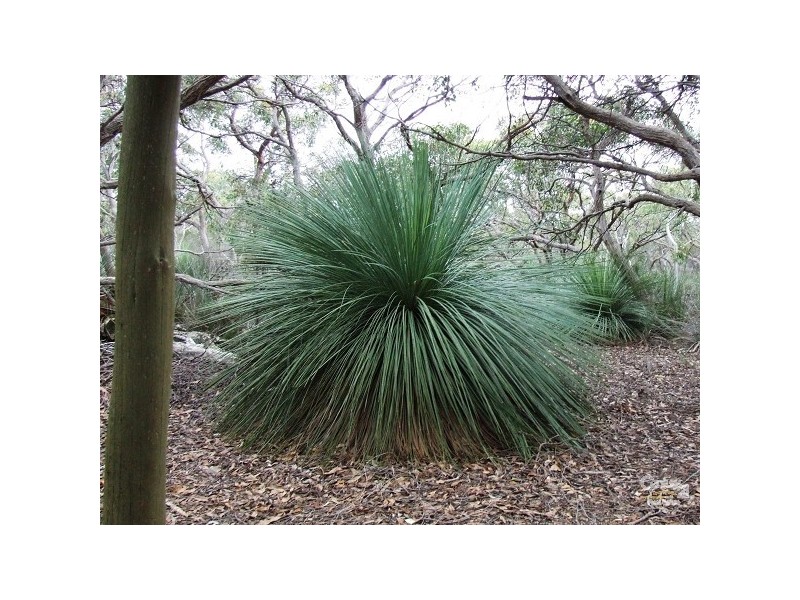 137 snug cove road, De Mole River SA 5223