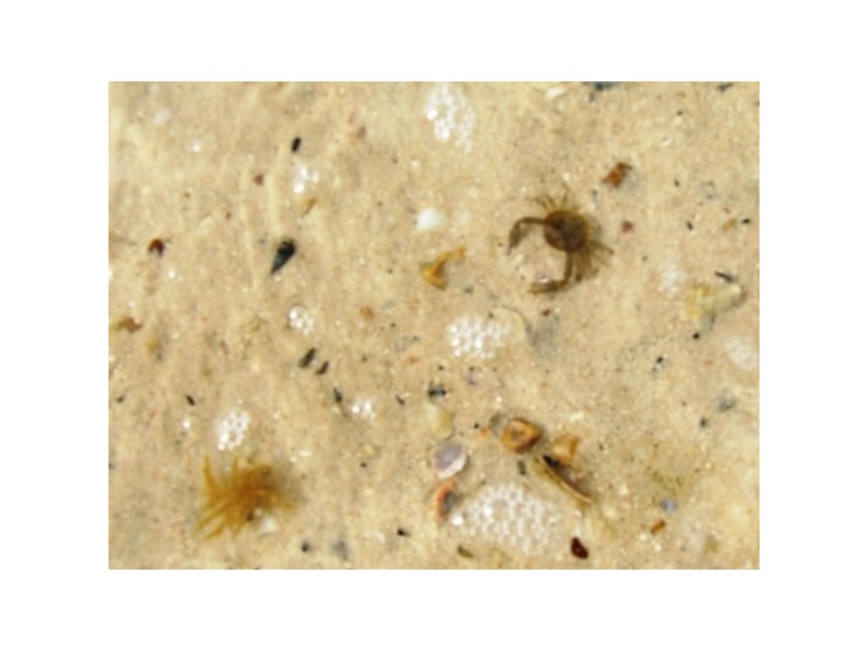 Lot 168 The Esplanade, Nepean Bay SA 5223