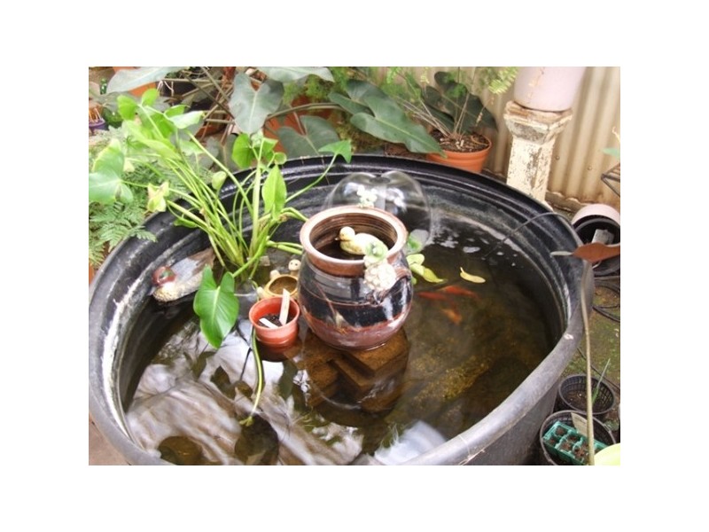 6 RAWSON, Kingscote SA 5223