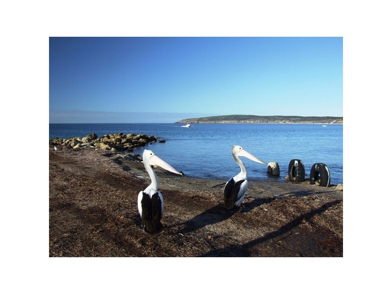 59 Hawthorn Avenue, Emu Bay SA 5223