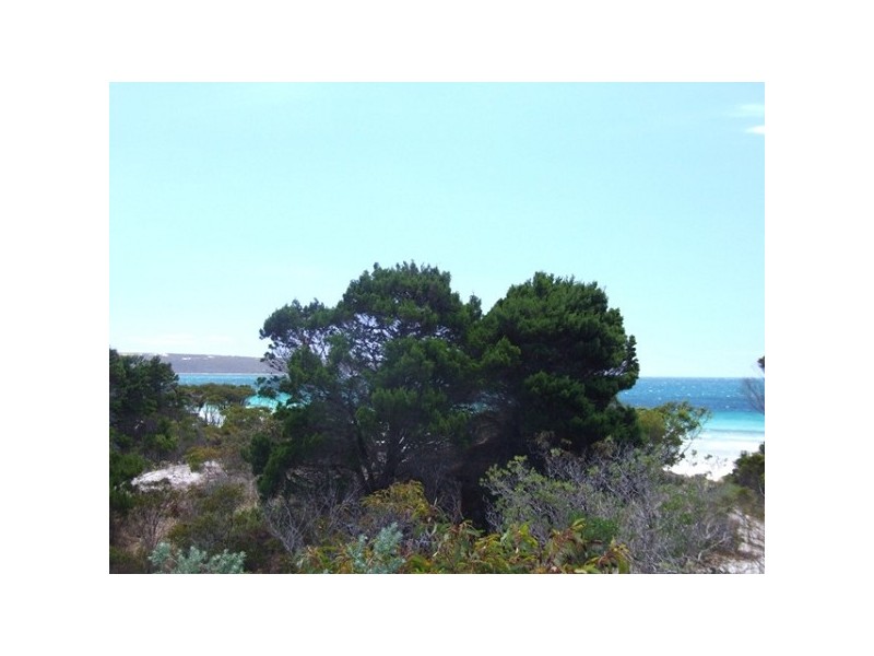173 Borda Road, Island Beach SA 5222
