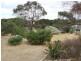 Lot 5 Redbanks Road, American River SA 5221