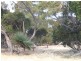 Lot 54 Bomb Alley Road, Cygnet River SA 5223