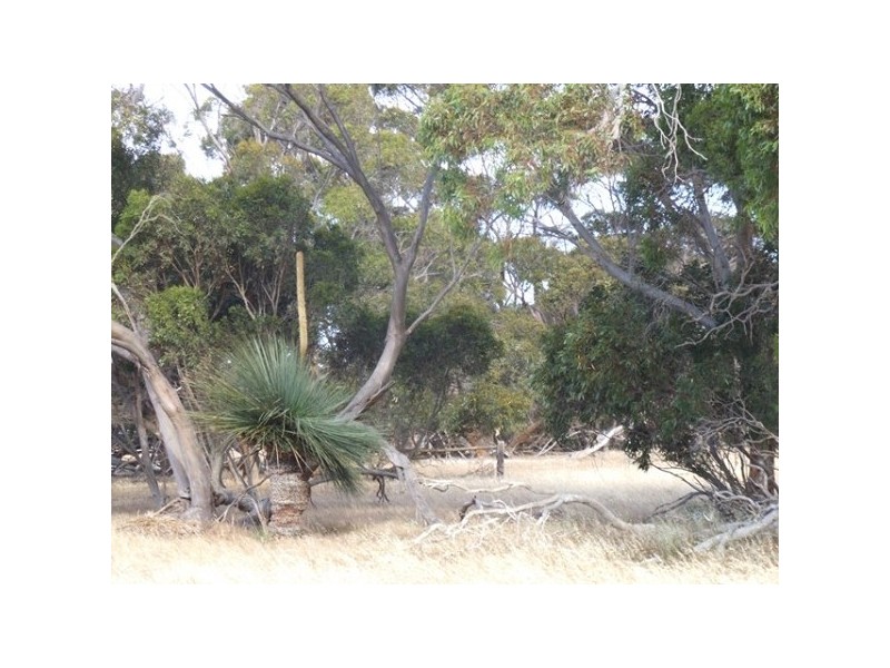 Lot 54 Bomb Alley Road, Cygnet River SA 5223