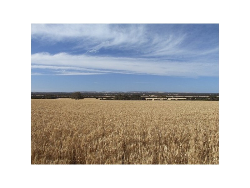 Lot 54 Bomb Alley Road, Cygnet River SA 5223