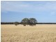 Lot 54 Bomb Alley Road, Cygnet River SA 5223