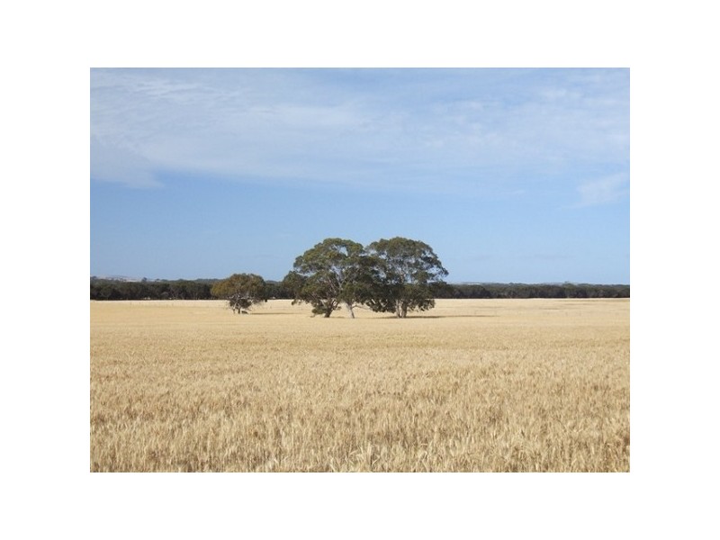 Lot 54 Bomb Alley Road, Cygnet River SA 5223
