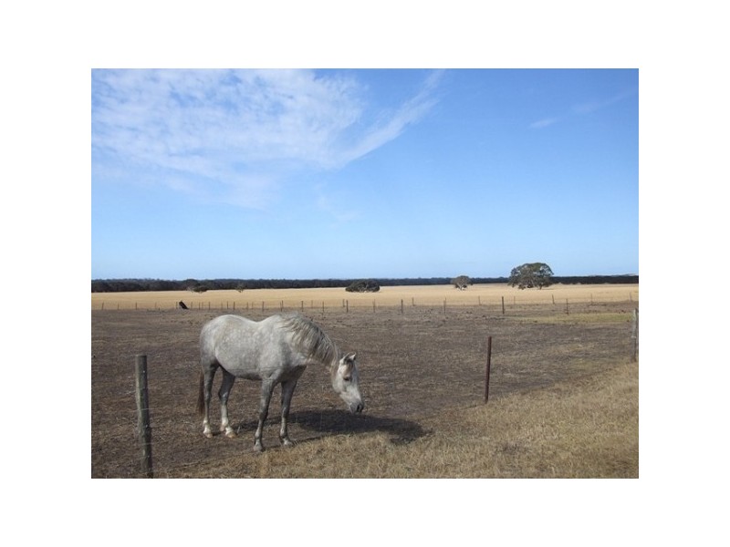 Lot 54 Bomb Alley Road, Cygnet River SA 5223