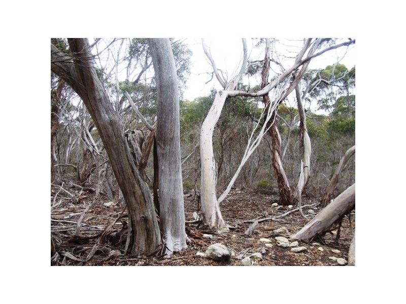 11 Shoals Road, Bay Of Shoals SA 5223