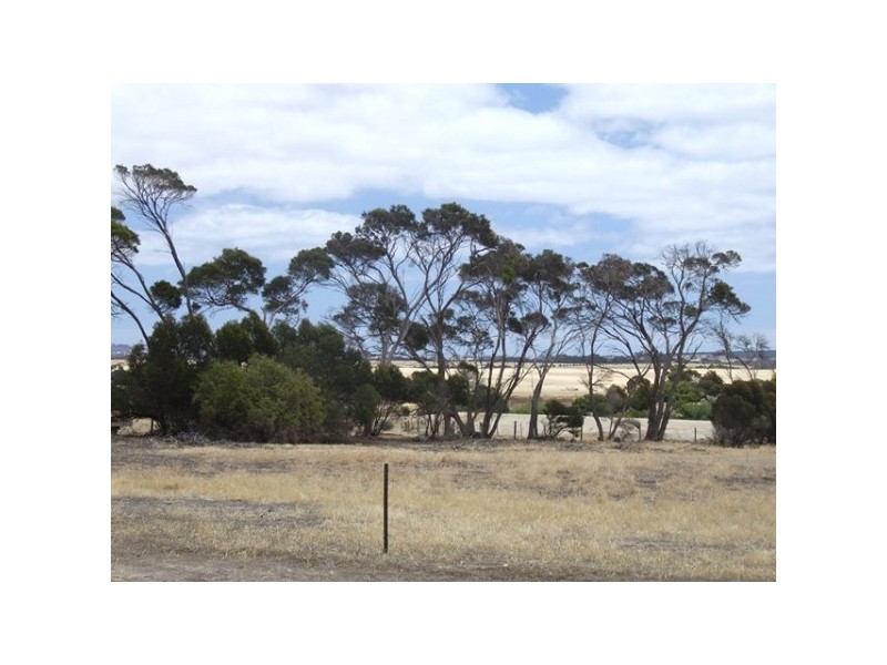 11 Shoals Road, Bay Of Shoals SA 5223