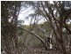 11 Shoals Road, Bay Of Shoals SA 5223