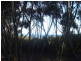 18 Willsons River Road, Penneshaw SA 5222