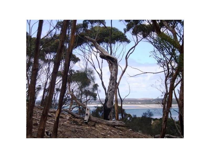 Lot 301 Falie Court, American River SA 5221