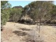 Lot 41 Thomas Road, American River SA 5221