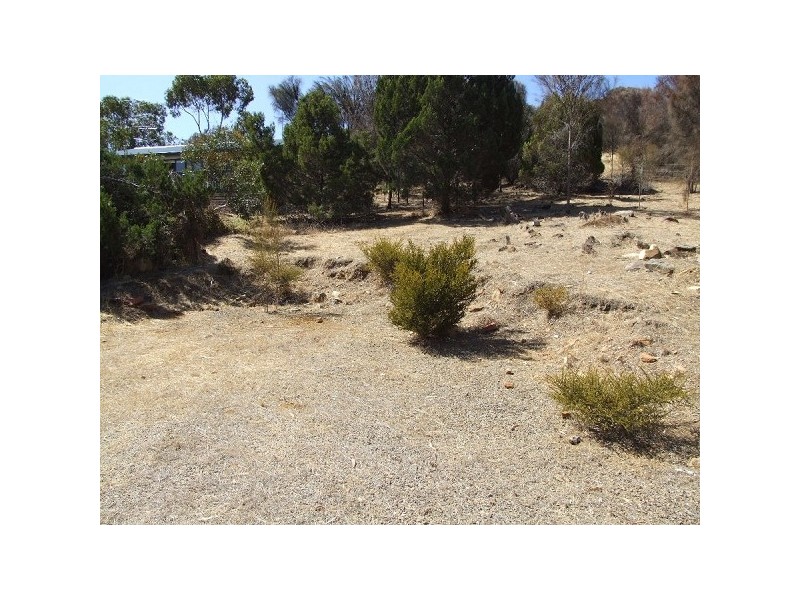 Lot 41 Thomas Road, American River SA 5221