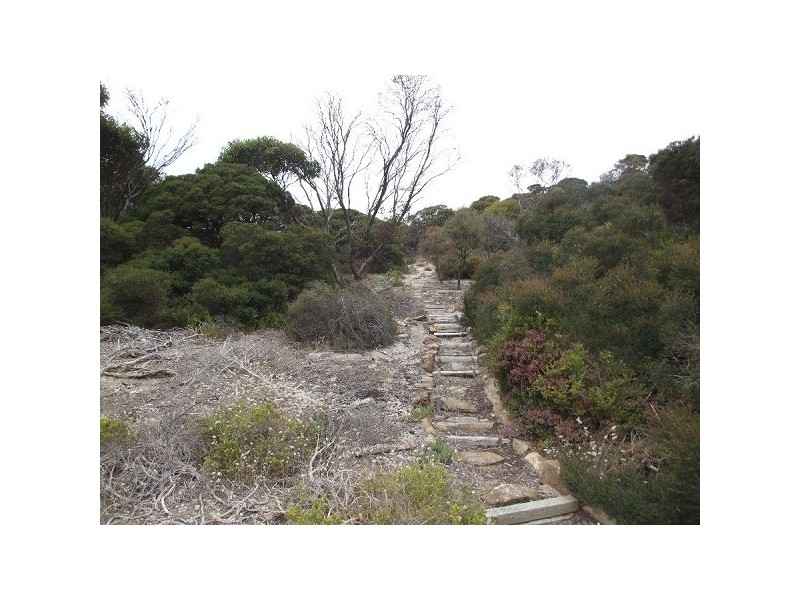 Lot 130 Crabb Road, Vivonne Bay SA 5223