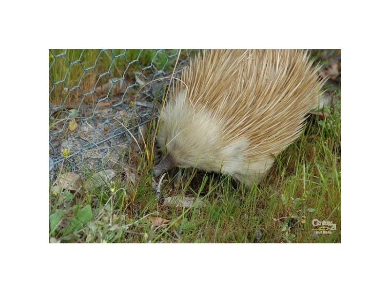 6586 South Coast Road, Karatta SA 5223